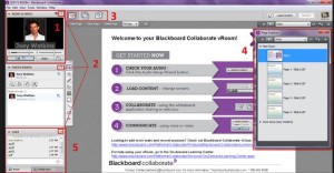 BLACKBOARD COLLOBORATE