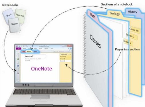 onenote illustration